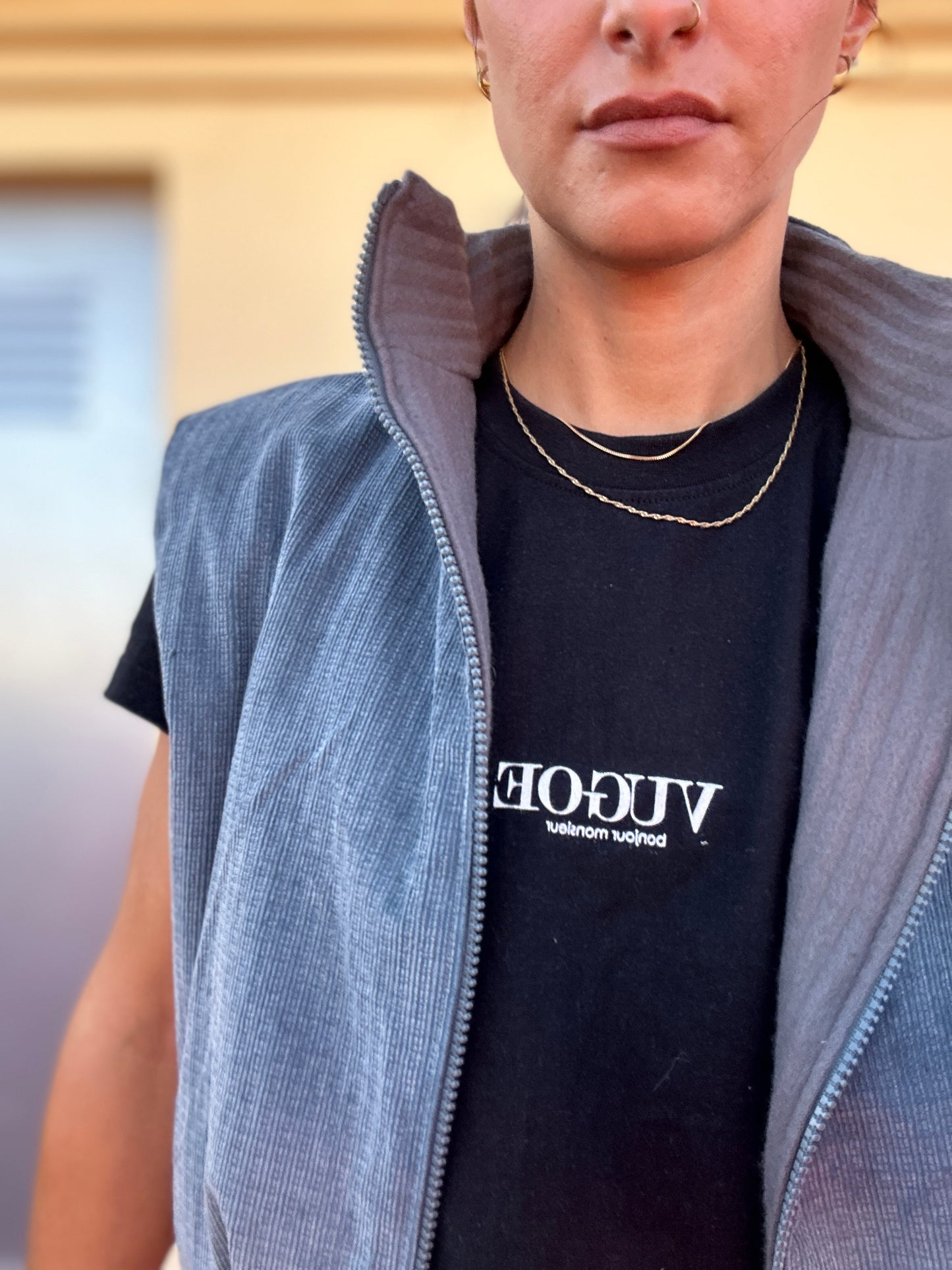Reversible vest